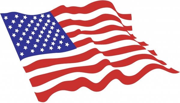 medicalsaunas Flag of the United States