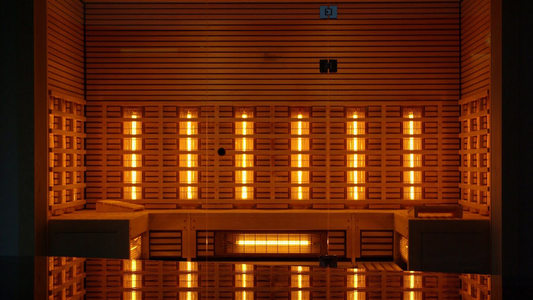 Large sauna unit