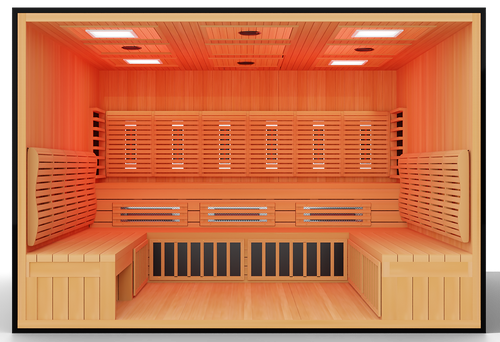 Commercial Sauna 489 Plus™